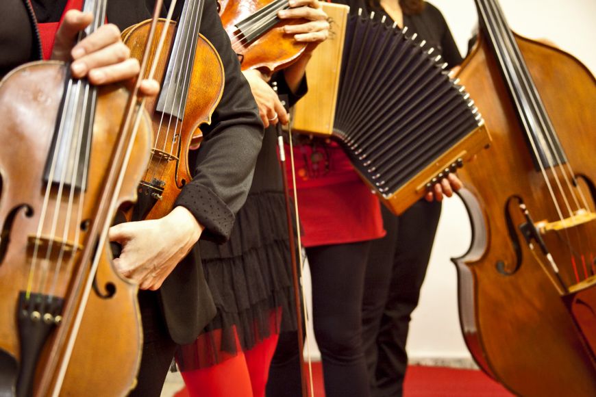 Les Violines Les Violines